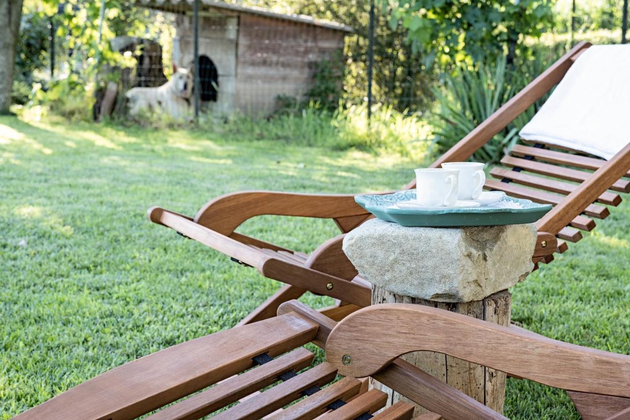 Villa Curte Nicia Nizza Monferrato Dış mekan fotoğraf